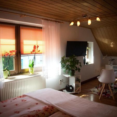 Gaestezimmer Im Gruenen Haus Appartement Thum Buitenkant foto
